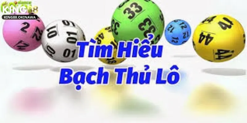 Bạch Thủ Lô Là Gì? Lựa Chọn Hoàn Hảo Cho Cao Thủ Lô Đ 2 Bạch thủ lô là gì? Hướng dẫn chi tiết cho tân thủ