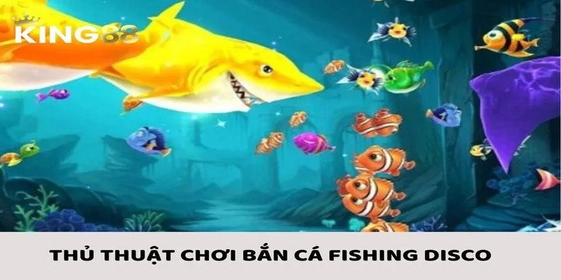 Bắn Cá Fishing Disco - Bí Quyết Luôn Chiến Thắng Được Hé Lộ 3 Bắn cá Fishing Disco cùng với những thủ thuật siêu hay