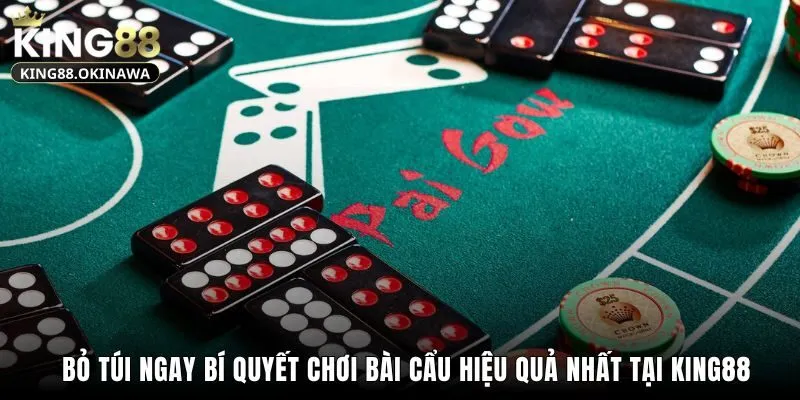 Cách Chơi Bài Cẩu King88 Đơn Giản Cũng Như Dễ Hiểu Nhất 3 Bỏ túi ngay bí quyết chơi bài cẩu hiệu quả nhất tại King88