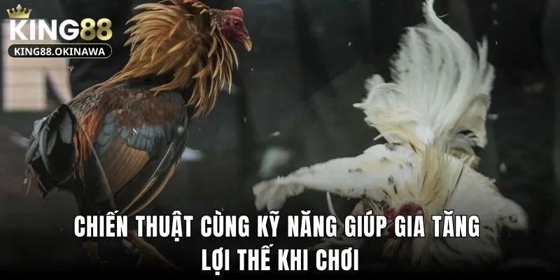 Cách Đá Gà Mạng Luôn Thắng Với Mẹo Đỉnh Cao Từ King88 1 Chiến thuật cùng kỹ năng giúp gia tăng lợi thế khi chơi