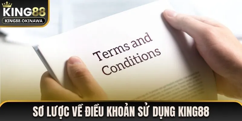 Điều Khoản Sử Dụng 1 Sơ lược về điều khoản sử dụng