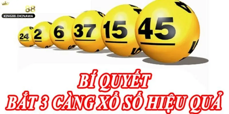 3 Càng Là Gì? Hé Lộ Cơ Hội Thắng Lớn Trong Mỗi Lượt Chơi 2 Tìm hiểu về 3 càng là gì và cách chơi hiệu quả nhất