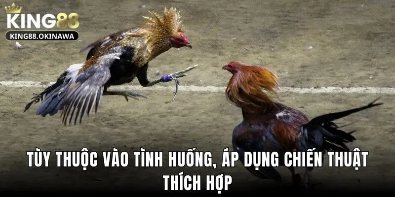 Cách Đá Gà Mạng Luôn Thắng Với Mẹo Đỉnh Cao Từ King88 2 Tùy thuộc vào tình huống, áp dụng chiến thuật thích hợp