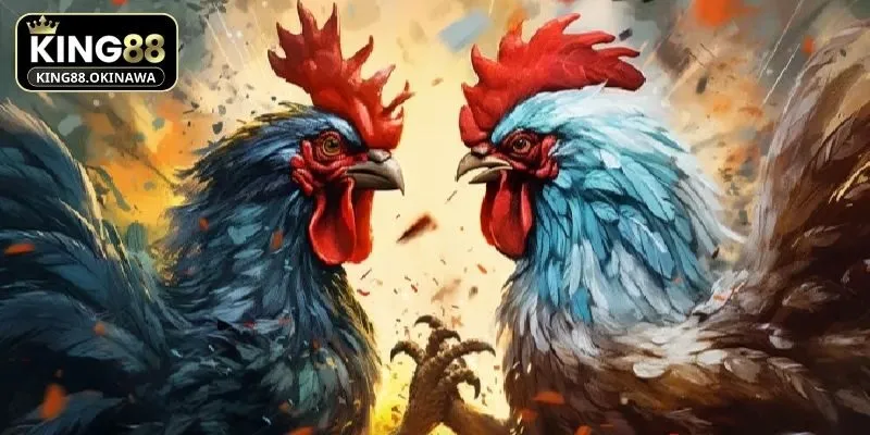 Đá Gà Nòi - Bí Kíp Đặt Cược Thắng Siêu Lớn Tại King88 1 Giới thiệu sơ lược về đá gà nòi tại King88